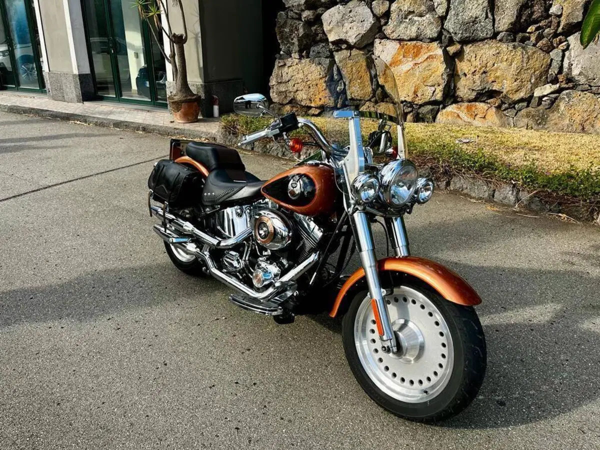 Harley-Davidson 1584 Fat Boy (2008 - 10) - FLSTF (4)