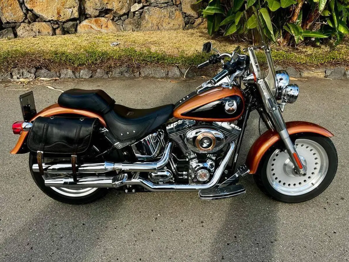 Harley-Davidson 1584 Fat Boy (2008 - 10) - FLSTF (5)