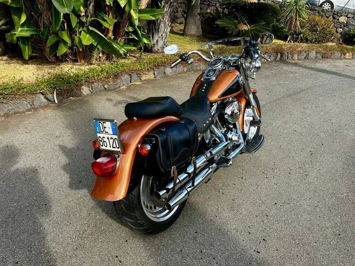 Harley-Davidson 1584 Fat Boy (2008 - 10) - FLSTF (6)