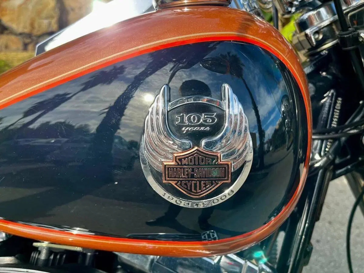 Harley-Davidson 1584 Fat Boy (2008 - 10) - FLSTF (8)