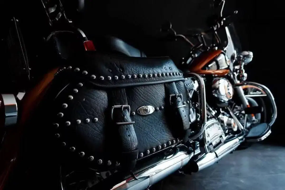 Harley-Davidson 1584 Heritage Classic (2008 - 10) - FLSTC (3)