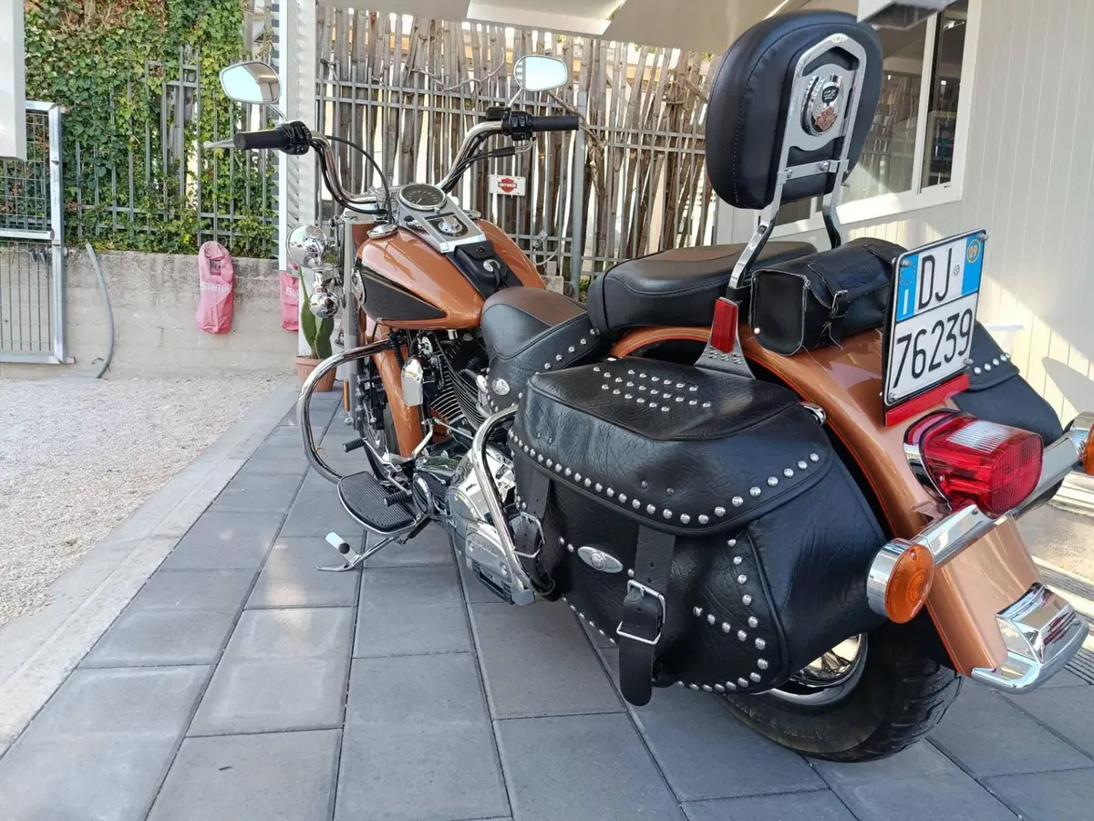 Harley-Davidson 1584 Heritage Classic (2008 - 10) - FLSTC (4)