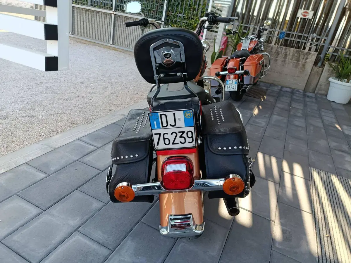 Harley-Davidson 1584 Heritage Classic (2008 - 10) - FLSTC (6)