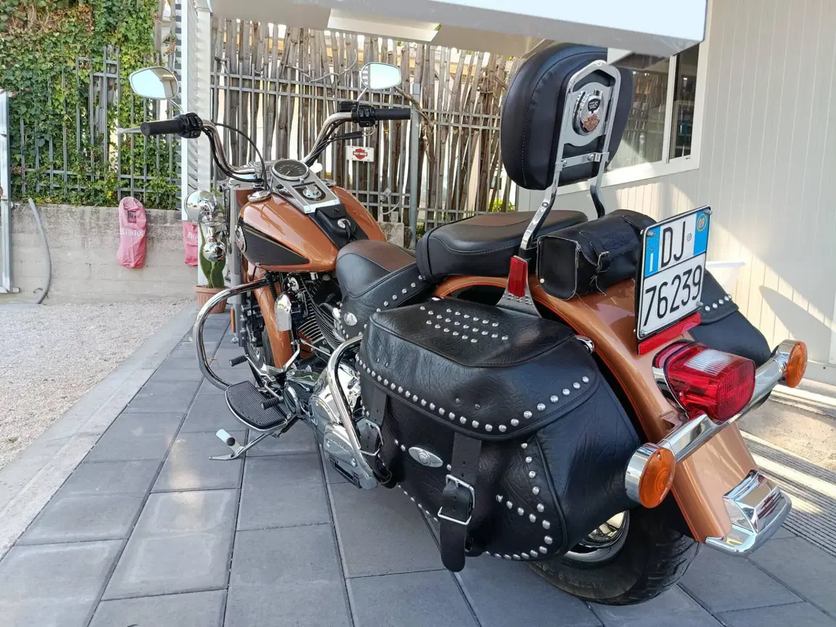 Harley-Davidson 1584 Heritage Classic (2008 - 10) - FLSTC (8)