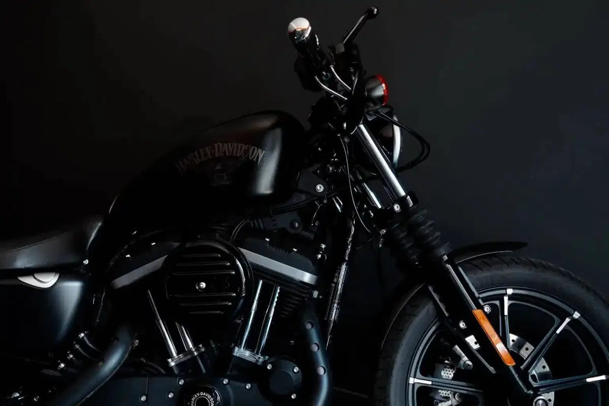 Harley-Davidson 883 Iron (2014 - 16) - XL 883N (2)