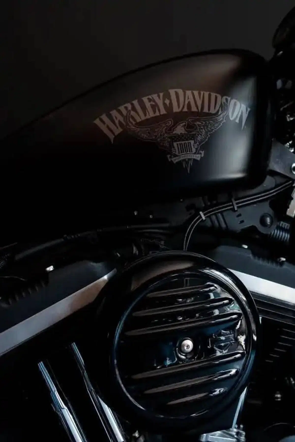 Harley-Davidson 883 Iron (2014 - 16) - XL 883N (3)