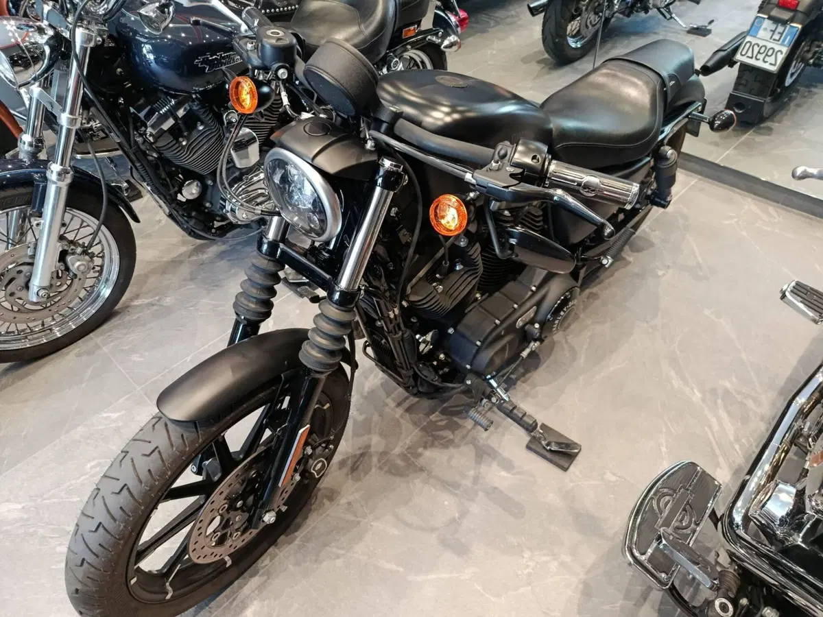 Harley-Davidson 883 Iron (2014 - 16) - XL 883N (5)