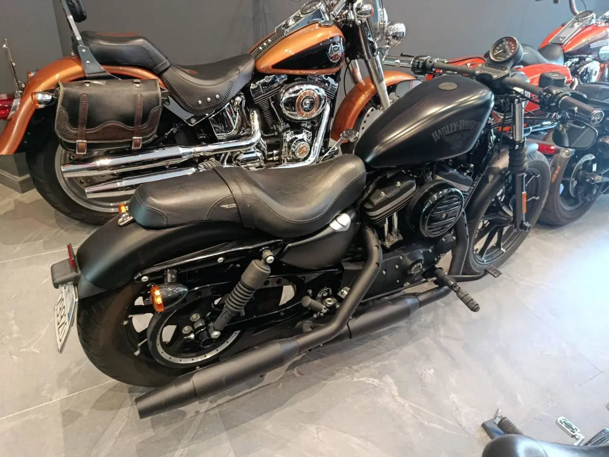 Harley-Davidson 883 Iron (2014 - 16) - XL 883N (7)