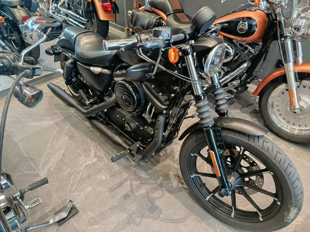Harley-Davidson 883 Iron (2014 - 16) - XL 883N (9)