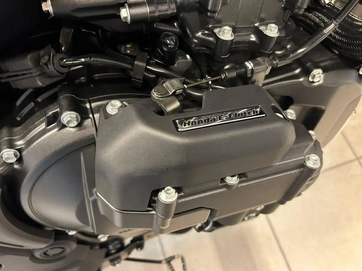 Honda Transalp XL750 (2026) (4)