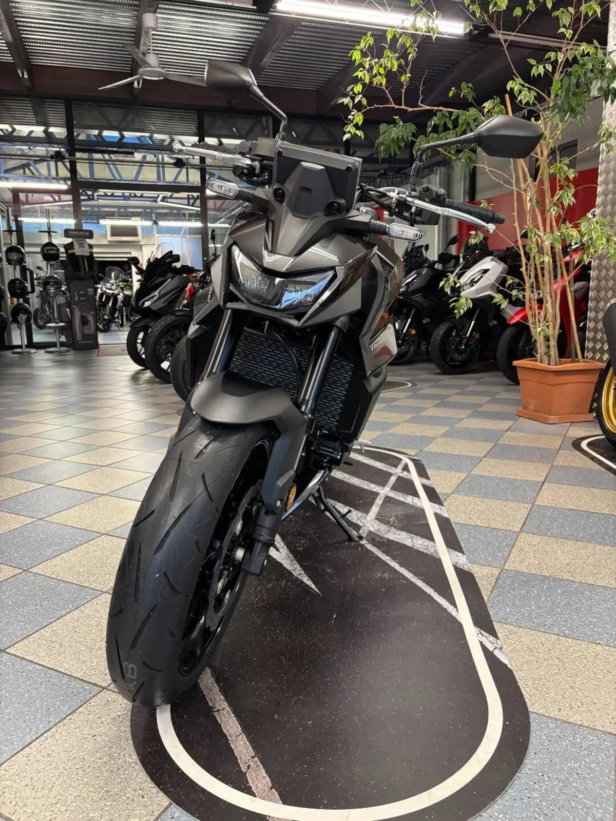 Honda CB 750 Hornet (2026) (2)