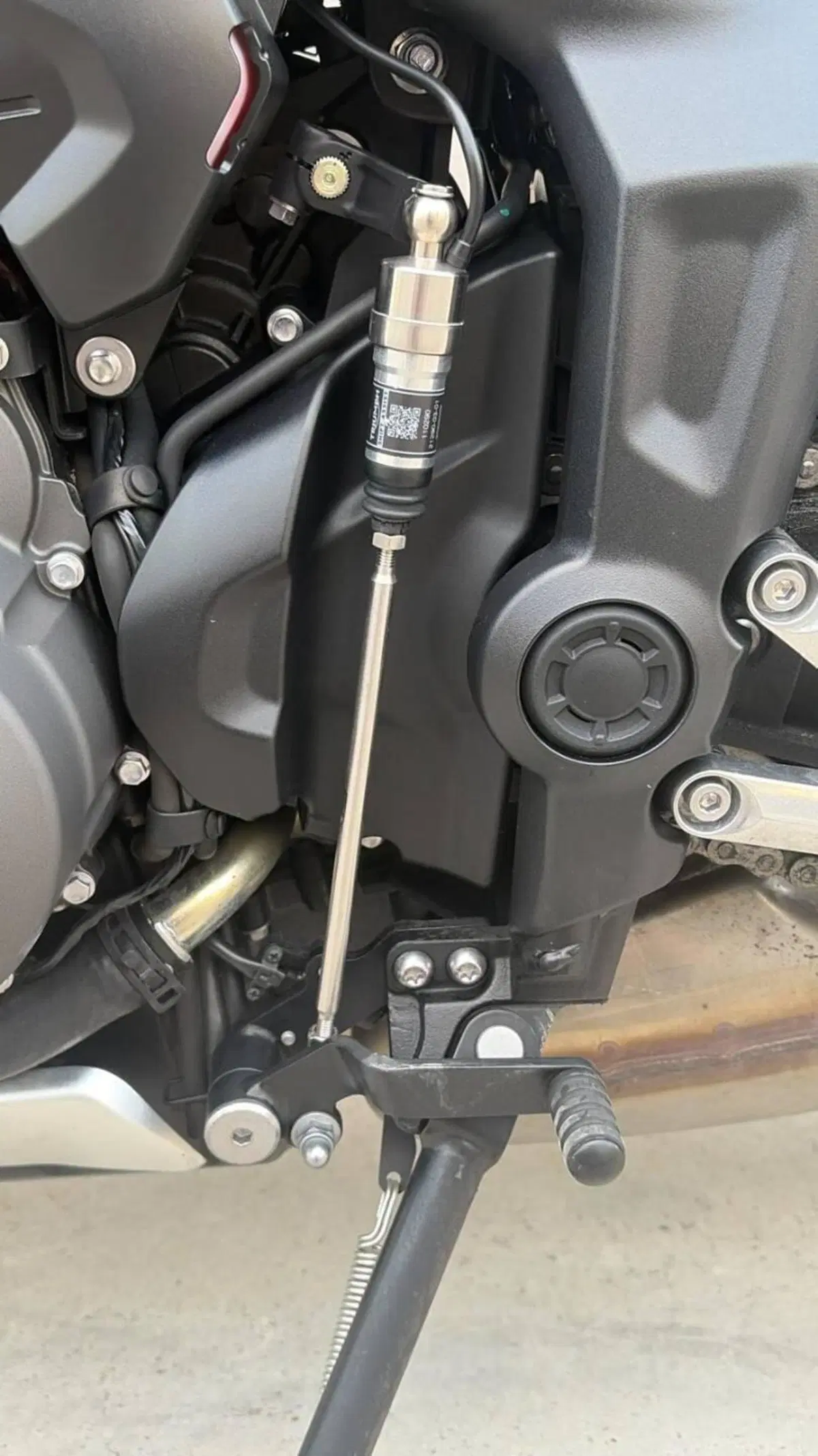 Triumph Trident 660 Triple Tribute Edition (2024) (5)