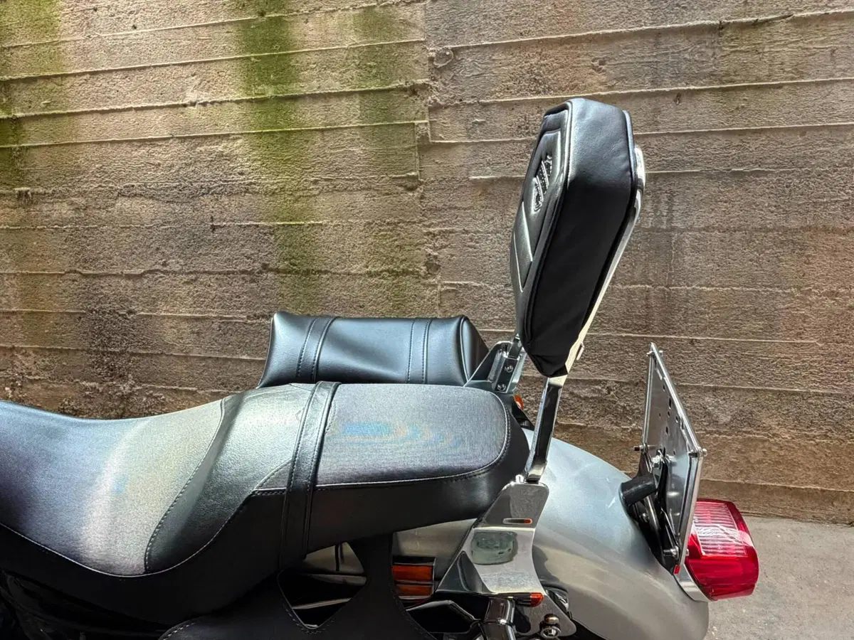 Harley-Davidson 883 Standard (2001 - 05) - XL 883 (2)