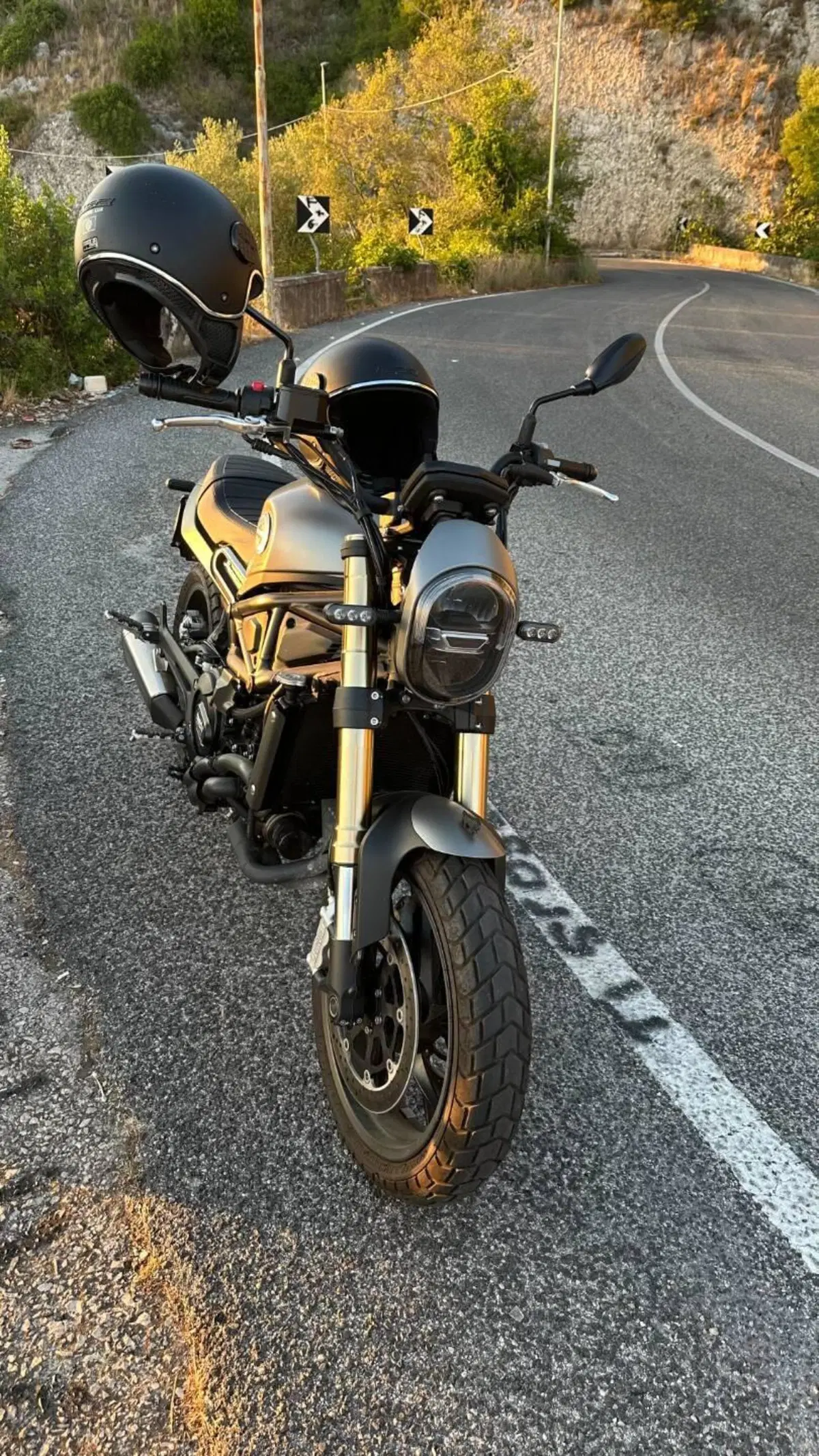 Benelli Leoncino 800 (2022 - 26) (2)