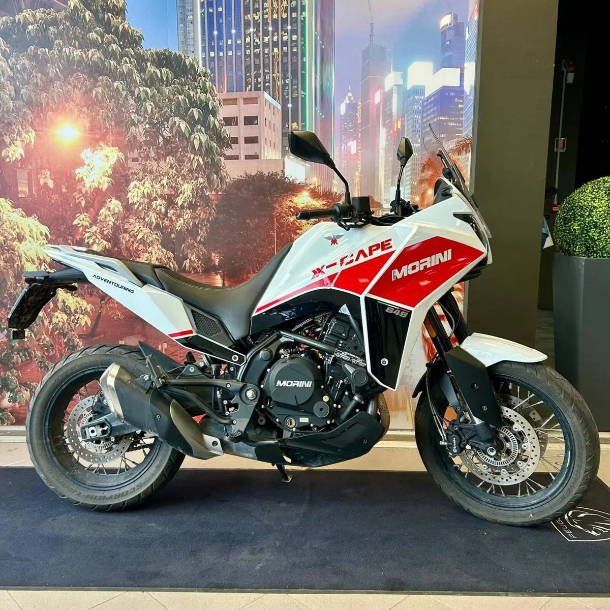 Moto Morini X-Cape 650 (2021 - 26)
