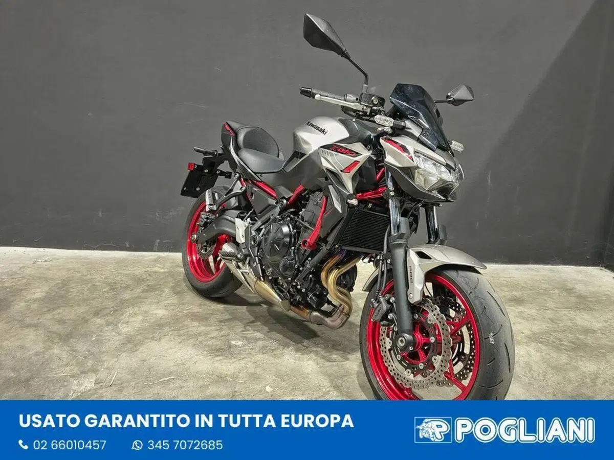 Kawasaki Z 650 (2021 - 24) (2)