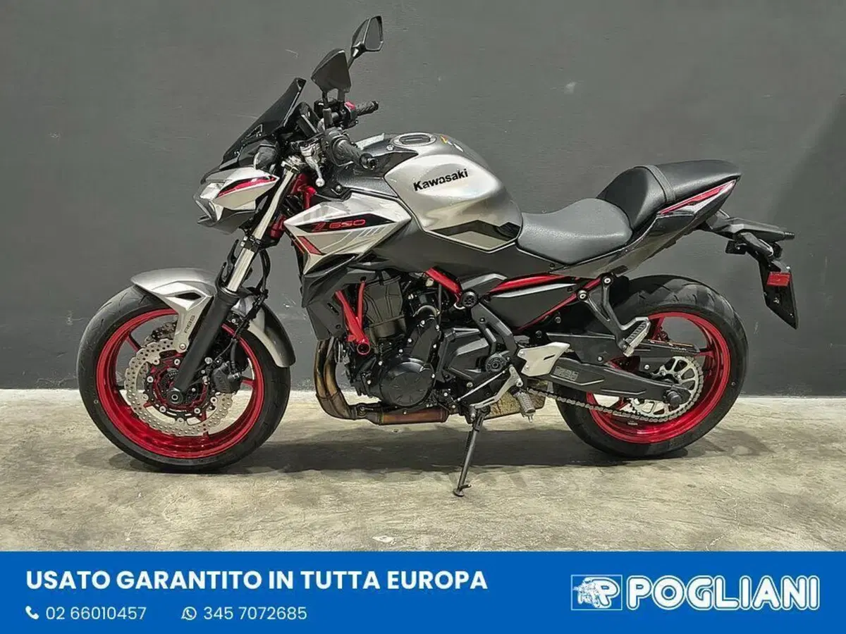 Kawasaki Z 650 (2021 - 24) (5)