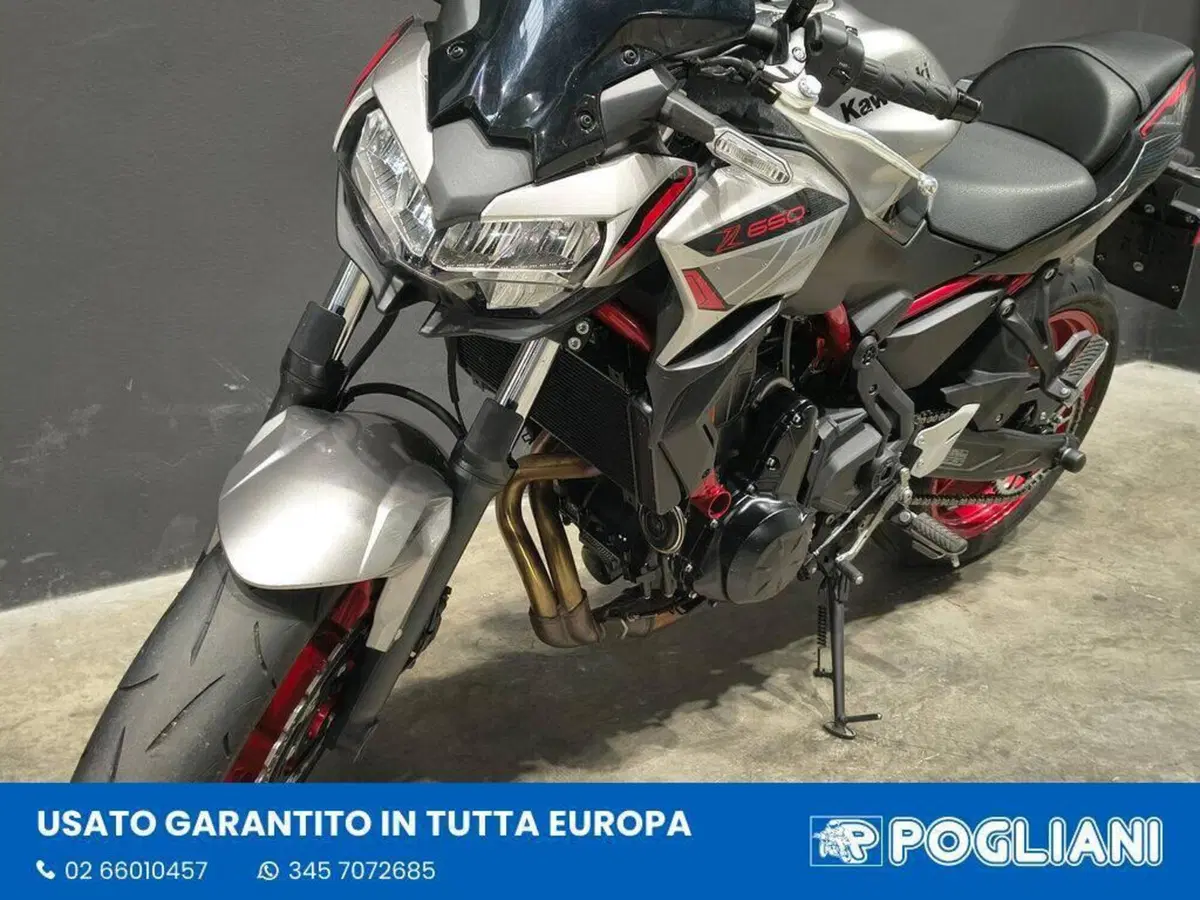 Kawasaki Z 650 (2021 - 24) (7)