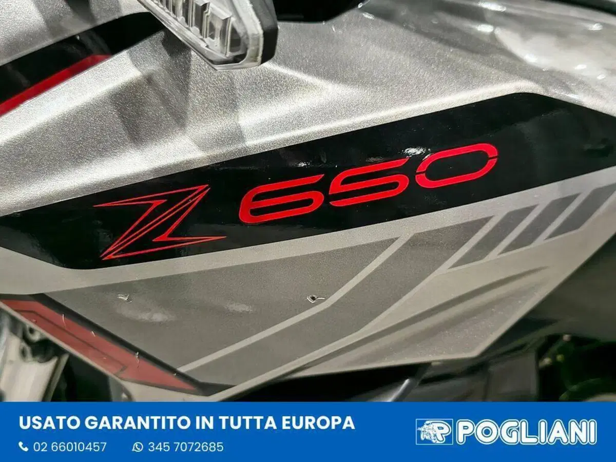 Kawasaki Z 650 (2021 - 24) (8)