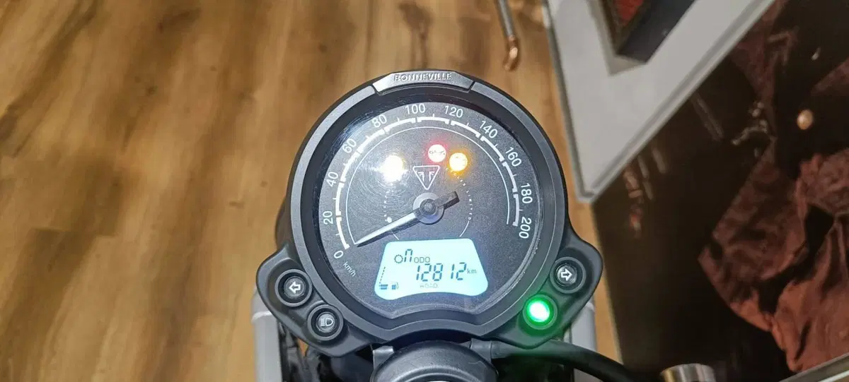 Triumph Scrambler 900 (2023 - 25) (6)