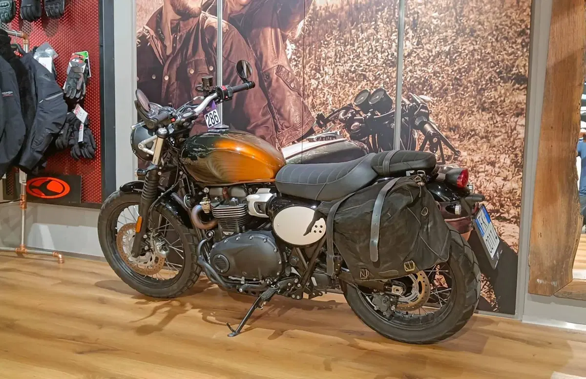 Triumph Scrambler 900 (2023 - 25) (4)
