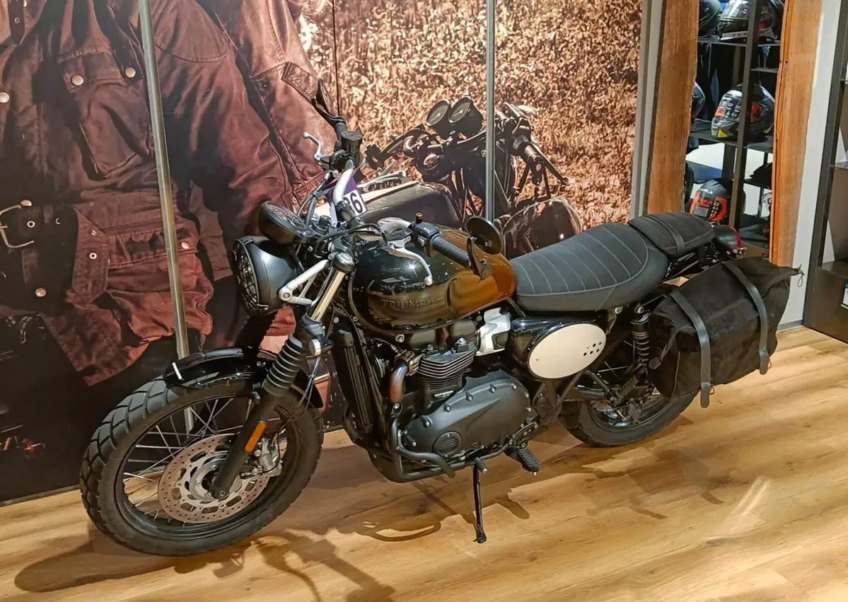 Triumph Scrambler 900 (2023 - 25) (3)