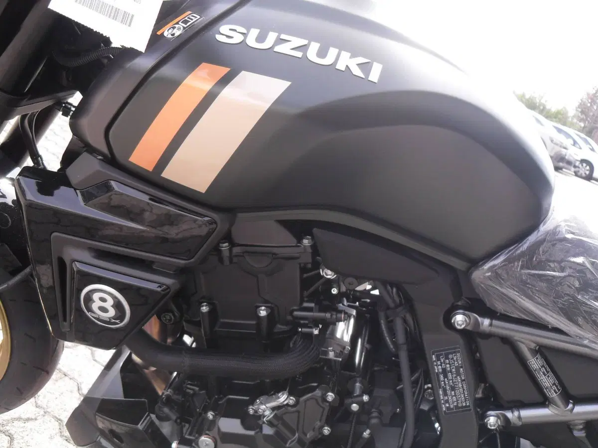 Suzuki GSX-8TT (2025 - 26) (7)