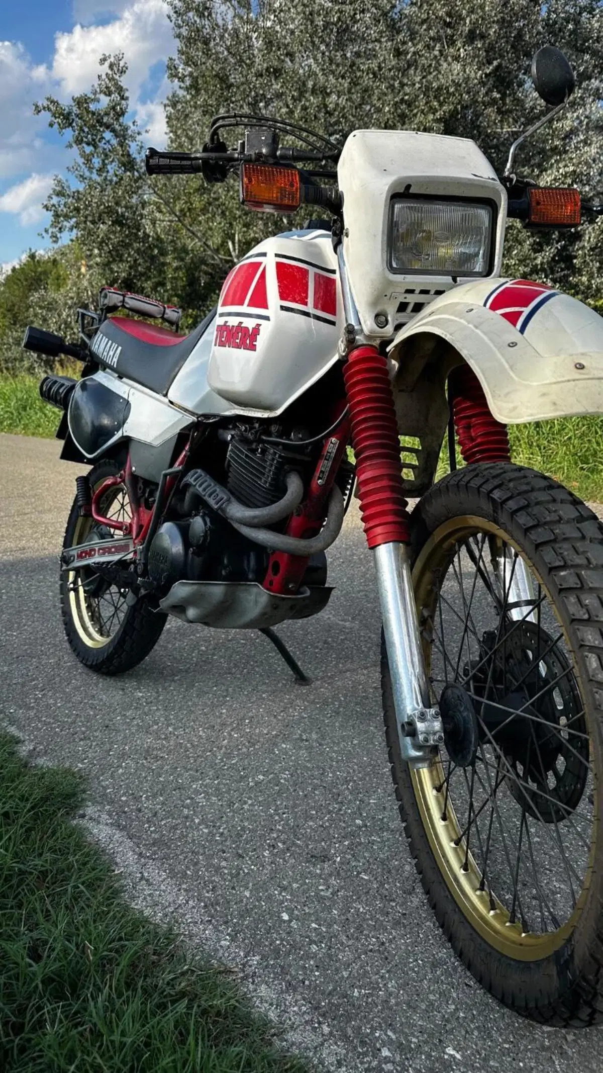 Yamaha Tenere 600 (6)