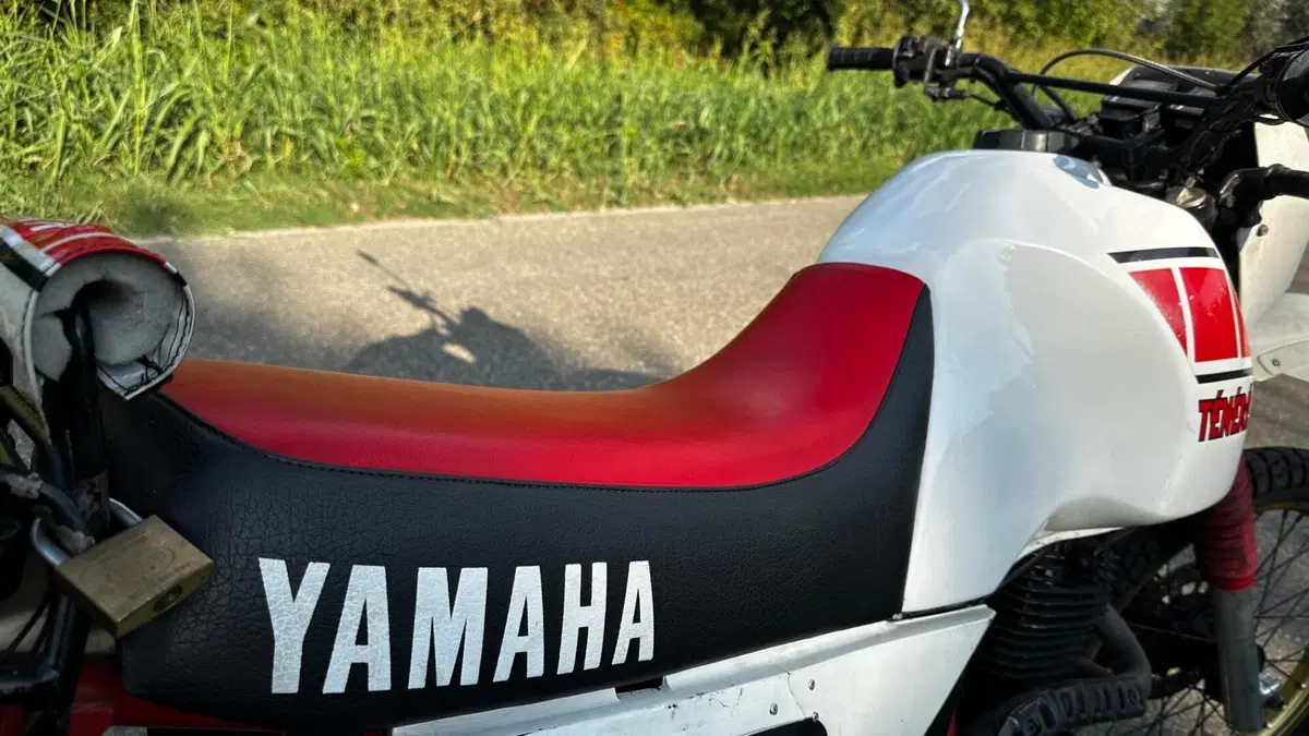 Yamaha Tenere 600 (7)