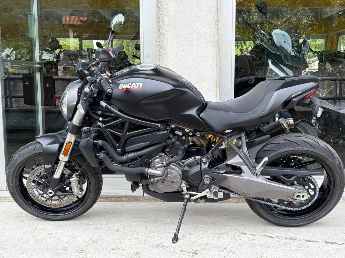 Ducati Monster 821 (2018 - 20) (3)