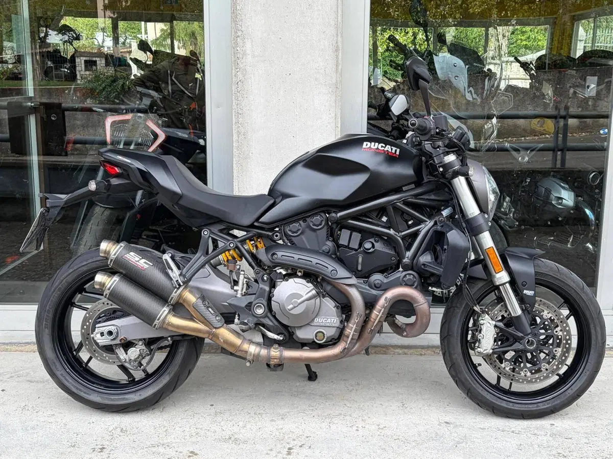 Ducati Monster 821 (2018 - 20)