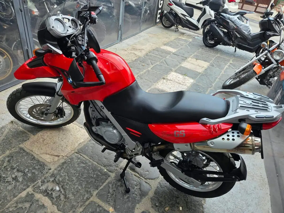 Bmw F 650 GS (2004 - 07) (10)
