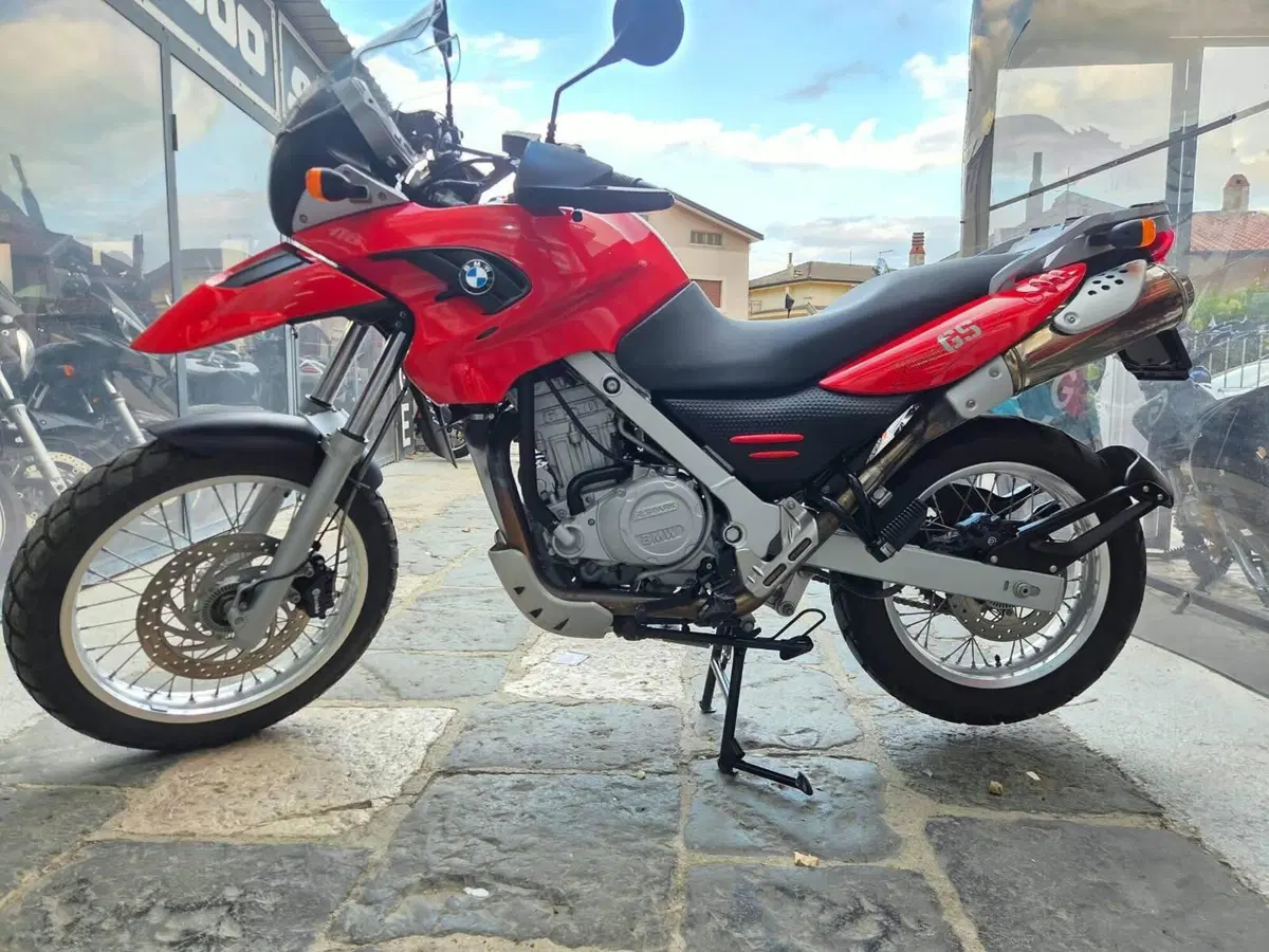 Bmw F 650 GS (2004 - 07) (9)