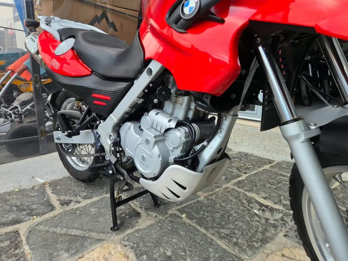 Bmw F 650 GS (2004 - 07) (13)