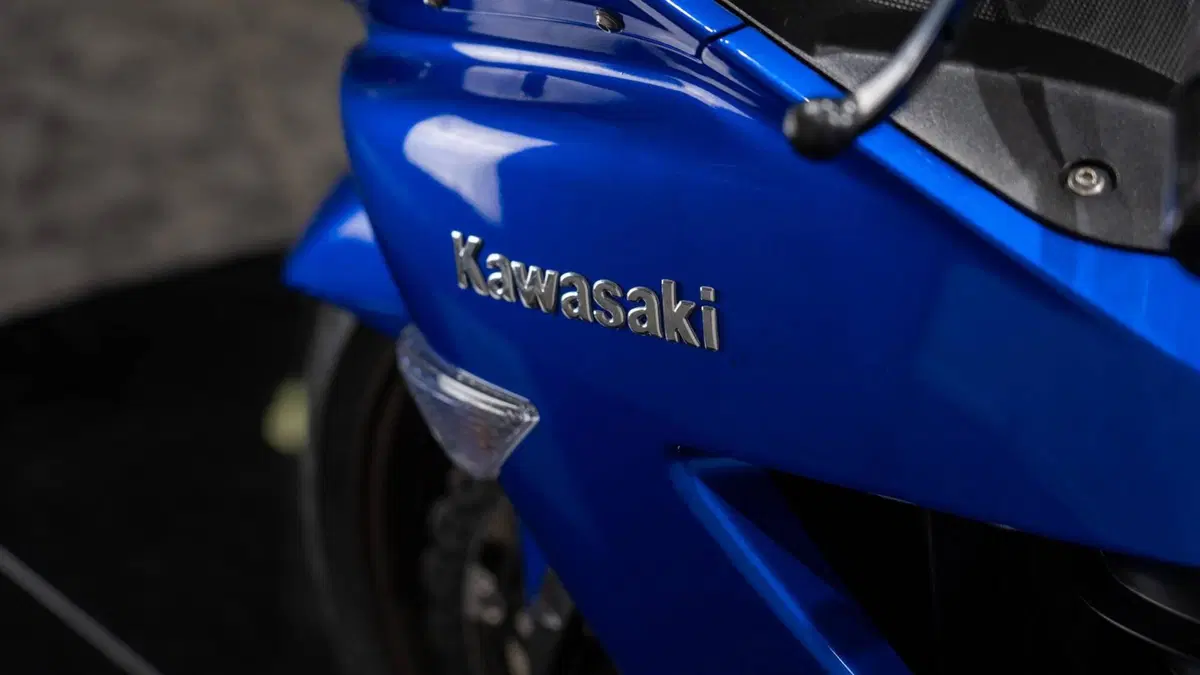 Kawasaki ZZR 1400 (2006 - 11) (6)