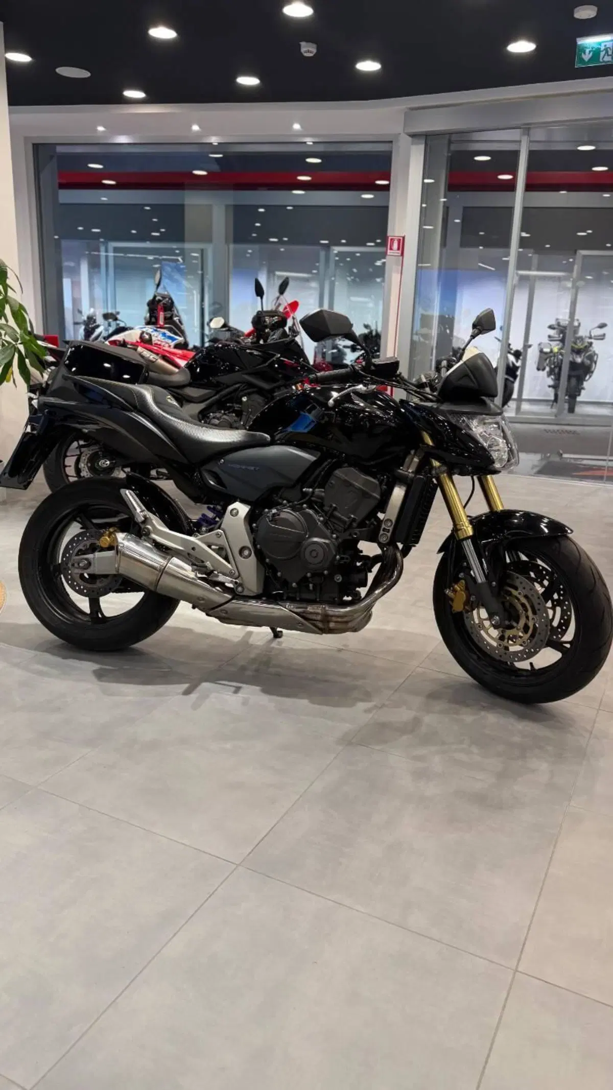 Honda Hornet 600 (2007 - 10) (2)