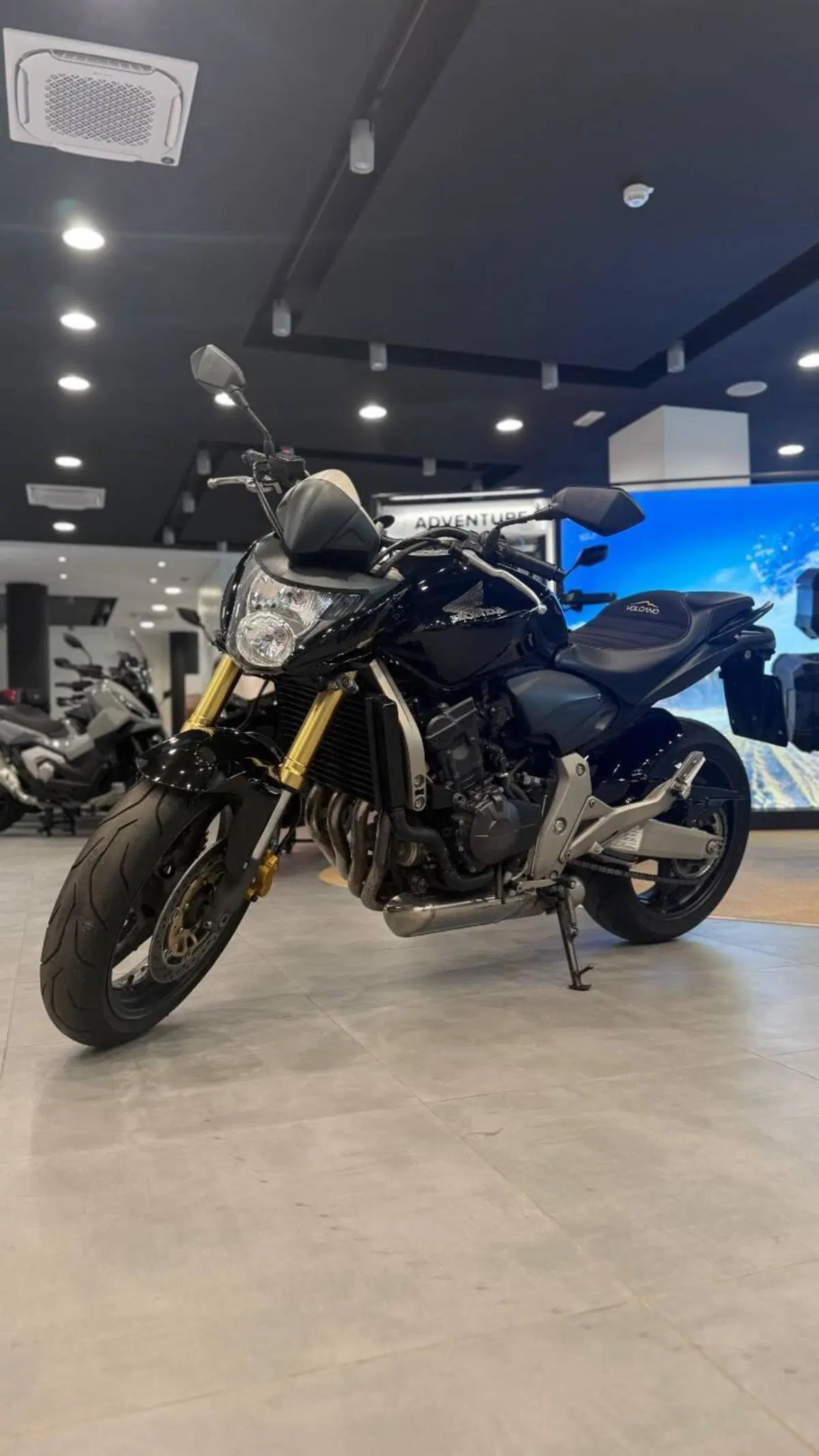 Honda Hornet 600 (2007 - 10)