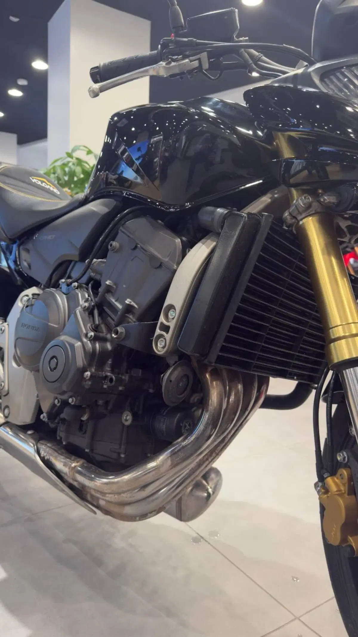 Honda Hornet 600 (2007 - 10) (15)