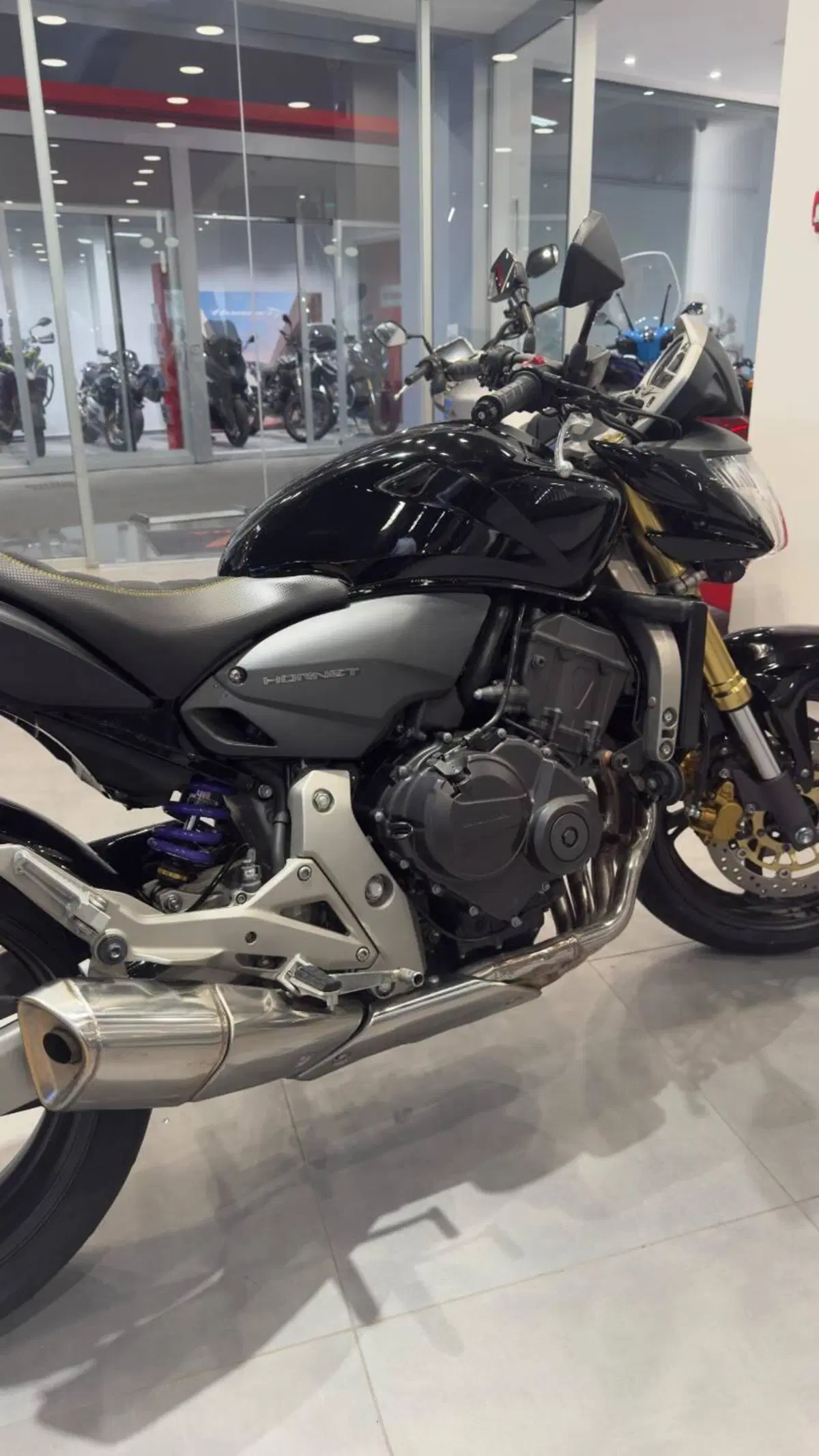 Honda Hornet 600 (2007 - 10) (16)