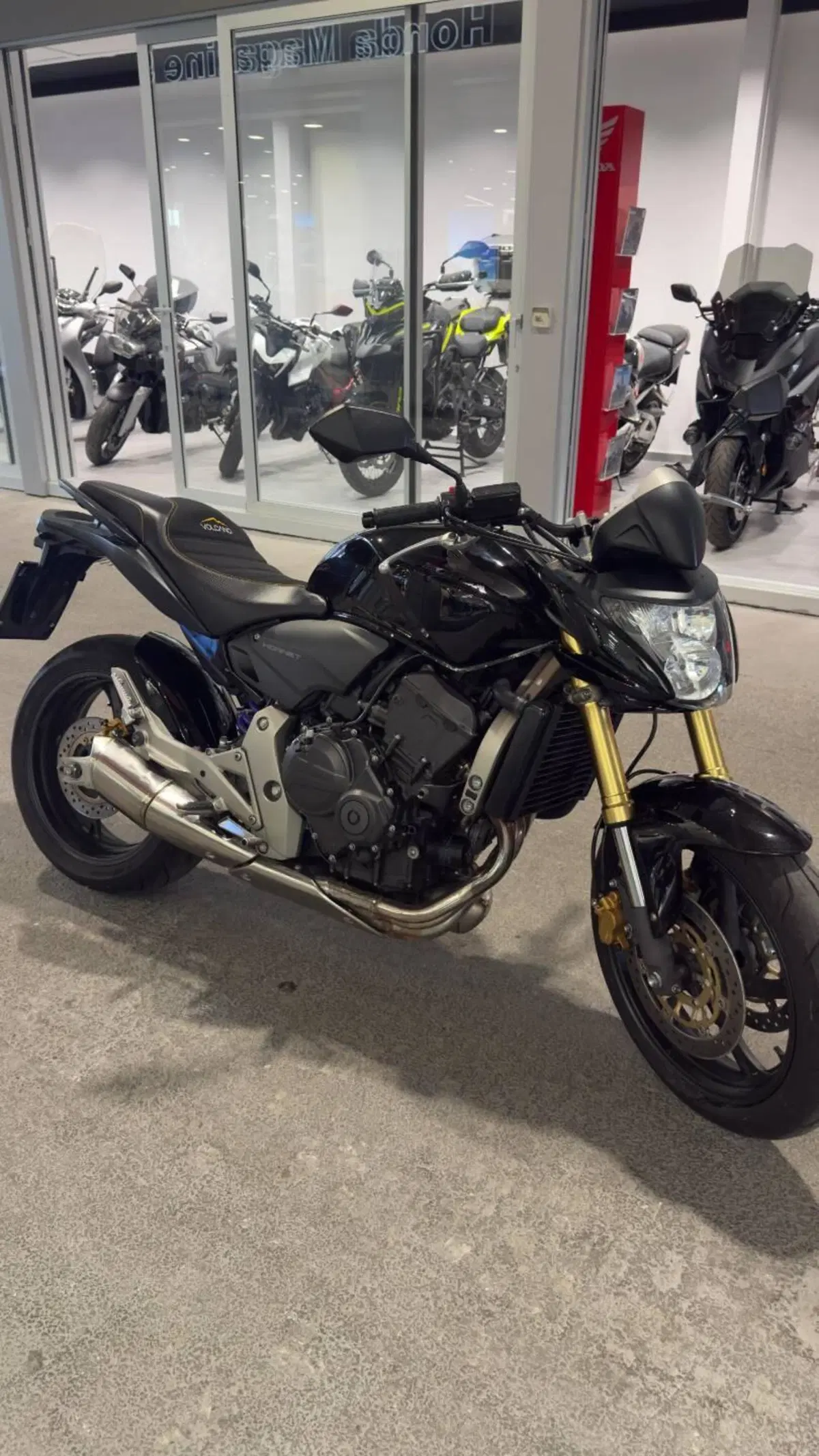 Honda Hornet 600 (2007 - 10) (18)