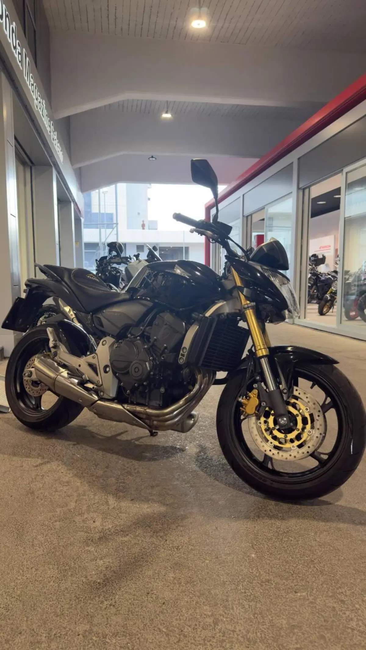 Honda Hornet 600 (2007 - 10) (19)