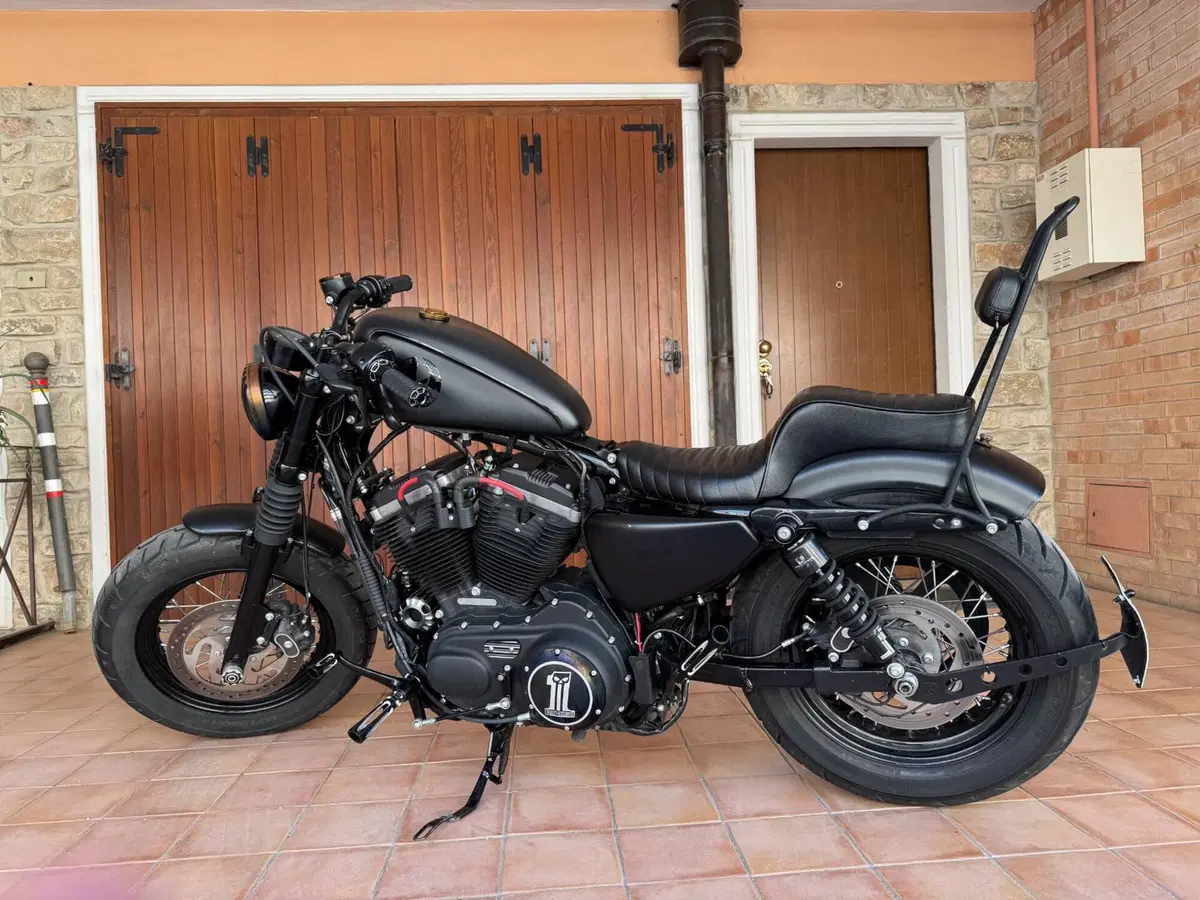 Harley-Davidson 1200 Forty-Eight (2010 - 15) (3)