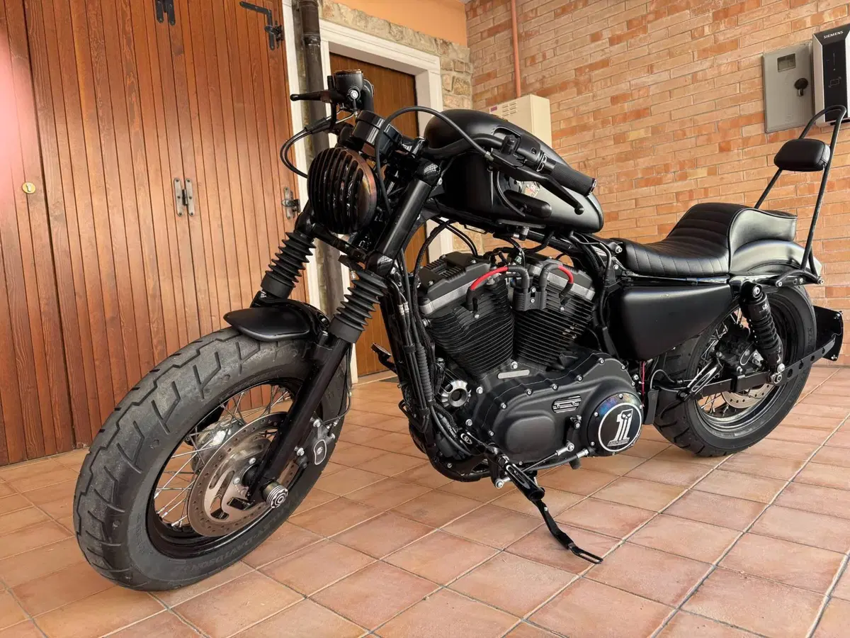 Harley-Davidson 1200 Forty-Eight (2010 - 15) (4)