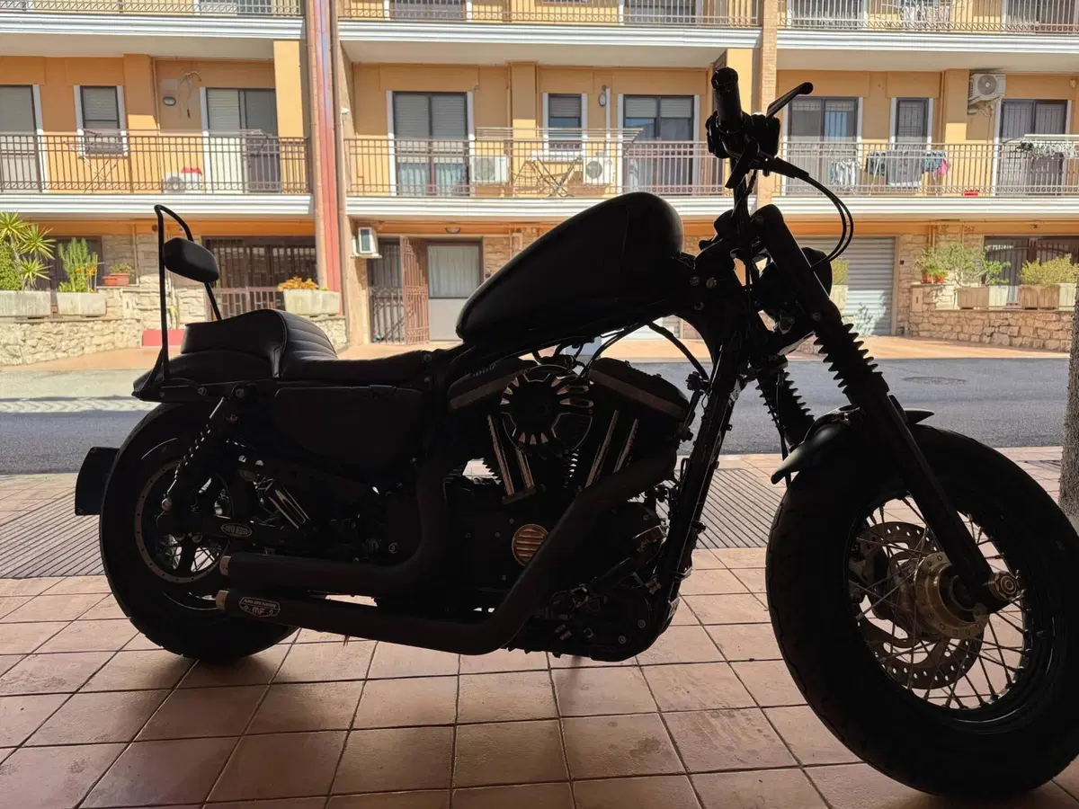 Harley-Davidson 1200 Forty-Eight (2010 - 15) (6)