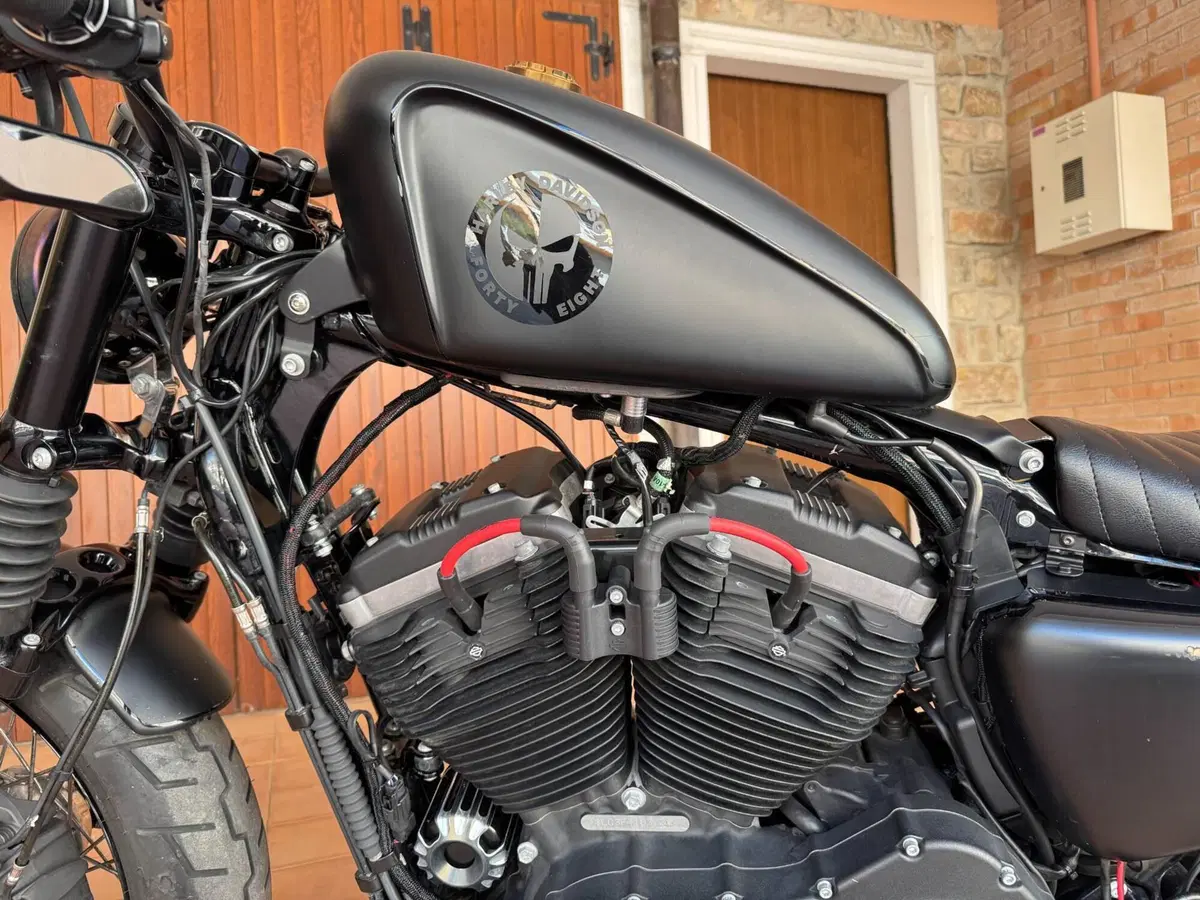 Harley-Davidson 1200 Forty-Eight (2010 - 15) (7)