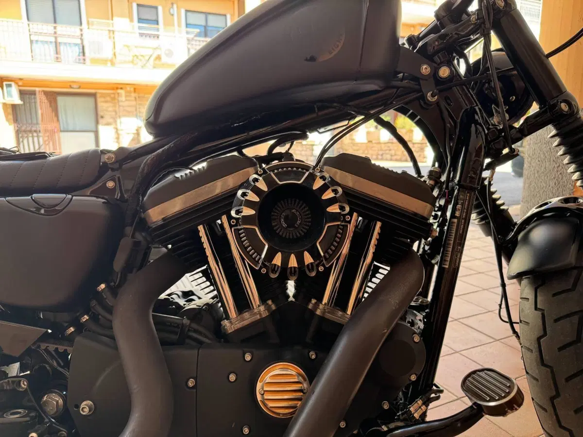 Harley-Davidson 1200 Forty-Eight (2010 - 15) (8)