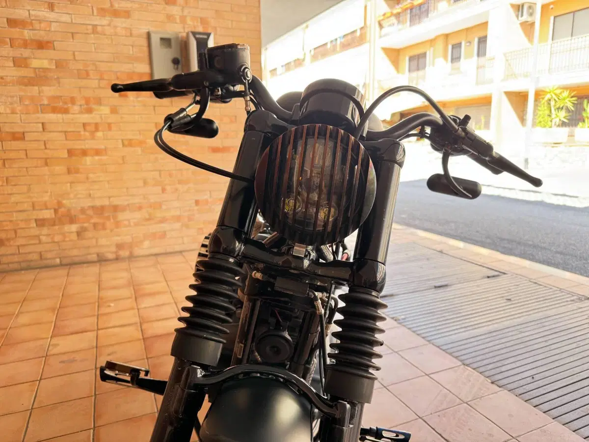 Harley-Davidson 1200 Forty-Eight (2010 - 15) (9)