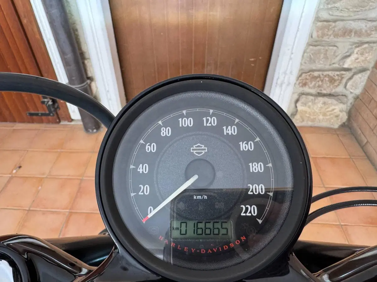 Harley-Davidson 1200 Forty-Eight (2010 - 15) (11)