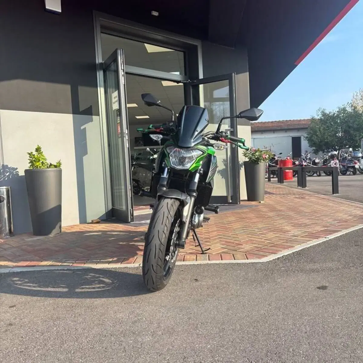 Kawasaki Z 650 (2017 - 19) (2)