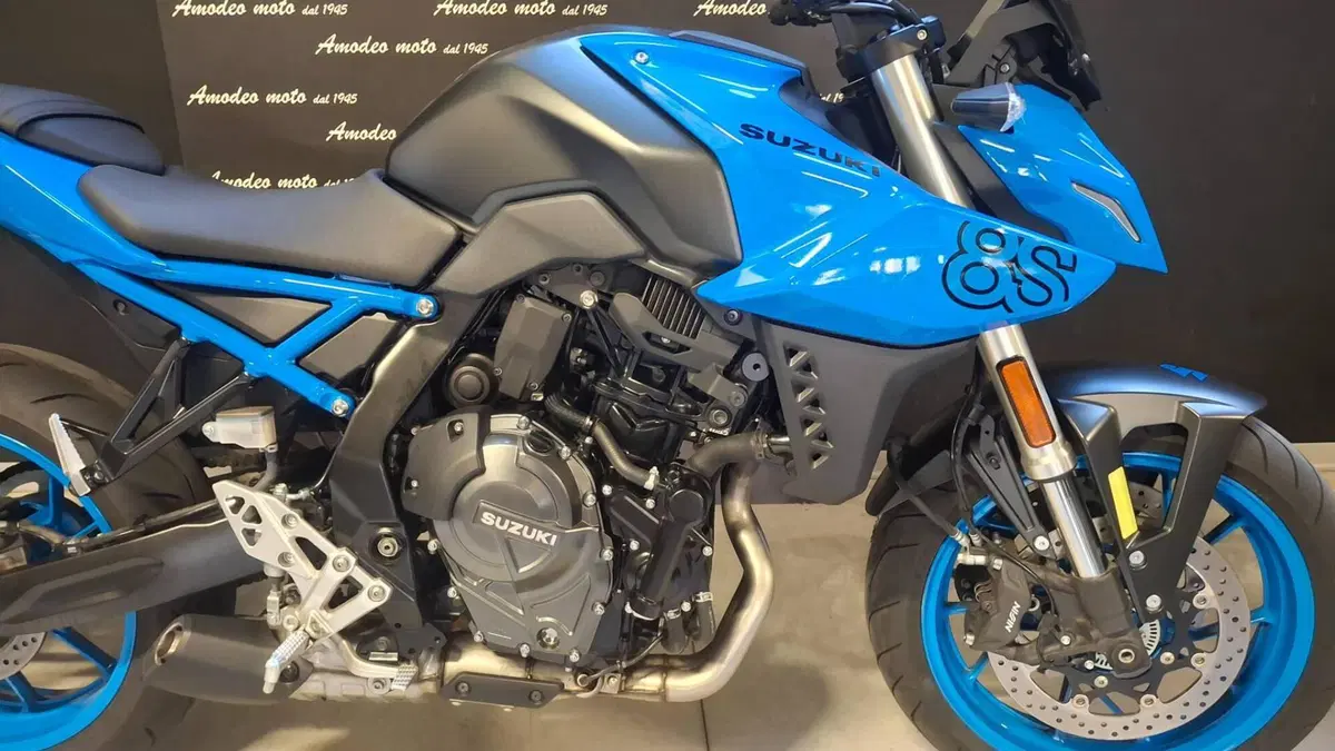 Suzuki GSX-8S (2023 - 24) (4)